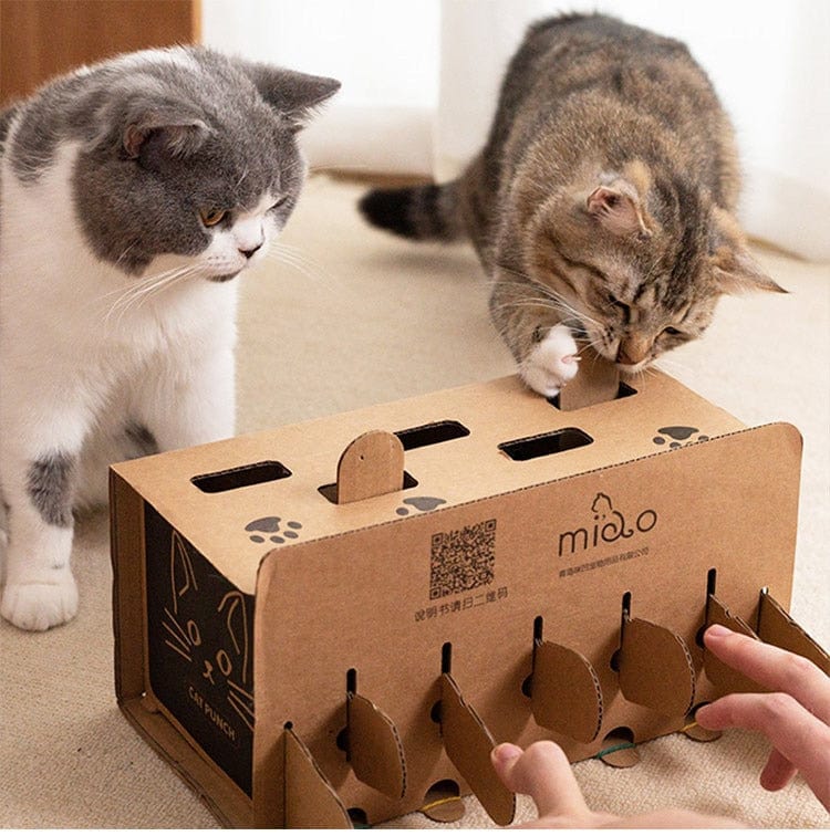 Cat Whack-a-mole Toy