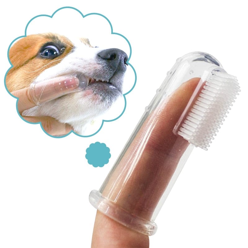 Pet Dental Care