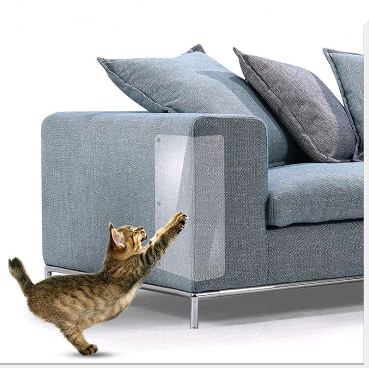 Couch Scratch Guards